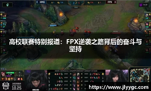 3377体育官网