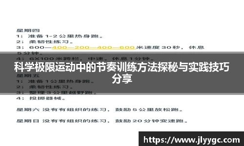 3377体育