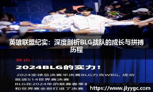 3377体育官网