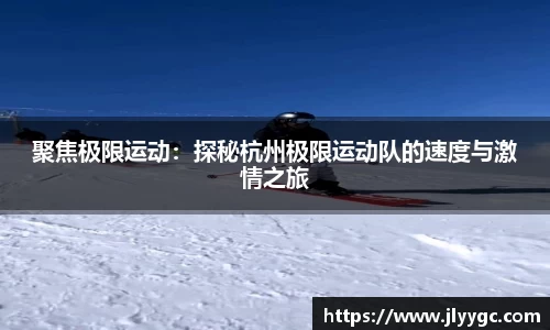 3377体育官网